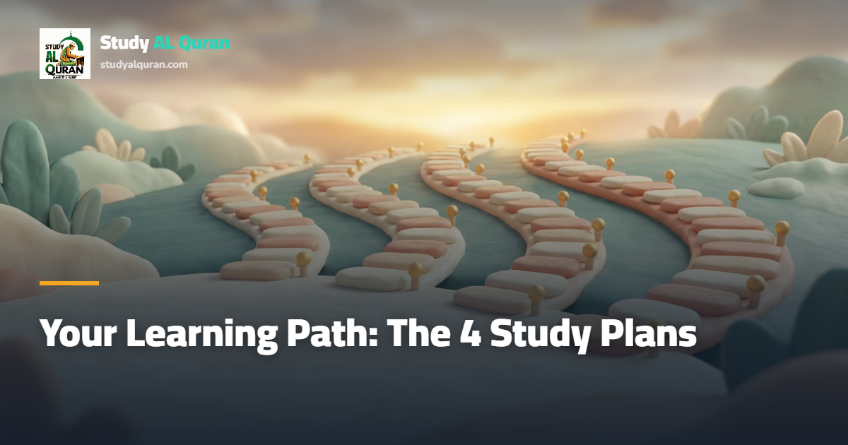 Your Learning Path: The 4 Quran Study Plans Explained